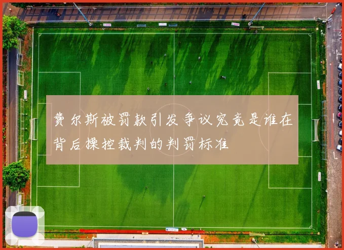 费尔斯被罚款引发争议究竟是谁在背后操控裁判的判罚标准