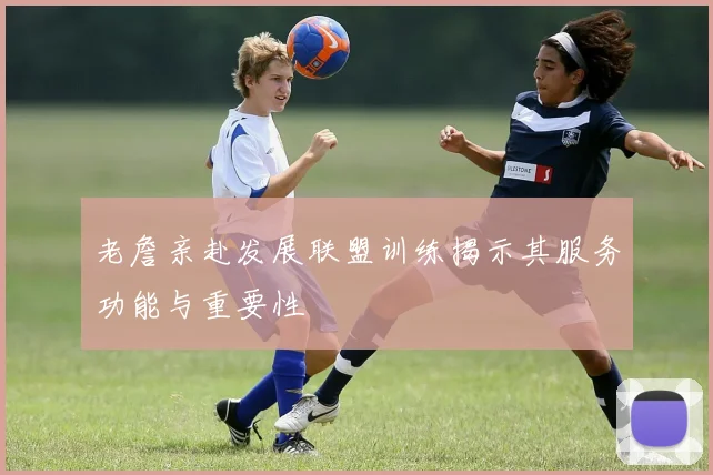 老詹亲赴发展联盟训练揭示其服务功能与重要性
